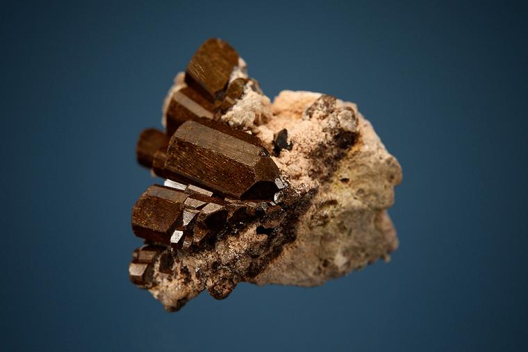 BUERGERITE
